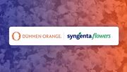 Dümmen Orange und Syngenta Flowers bündeln ihre globalen Gartenbauunternehmen. Bild: © 2026 Syngenta.