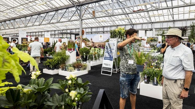 PLANTARIUM|GROEN-Direkt Herbstmesse 2022. Bild: © Nils van Houts.