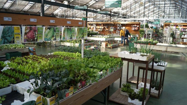 Gartencenter und Blumen- und Pflanzenhändler dürfen in Sachsen nur stark reglementiert öffnen. Bild: GABOT.