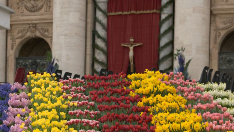 Niederländische Blumen zum Osterfest. Bild: Stichting Bloemenpracht Rome.