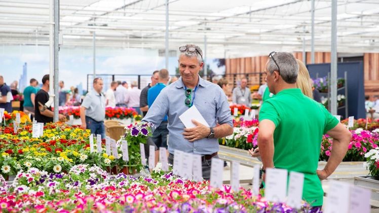 Die FlowerTrials® waren wieder das Großereignis rund um Topf- und Beetpflanzen. Bild: FlowerTrials®.