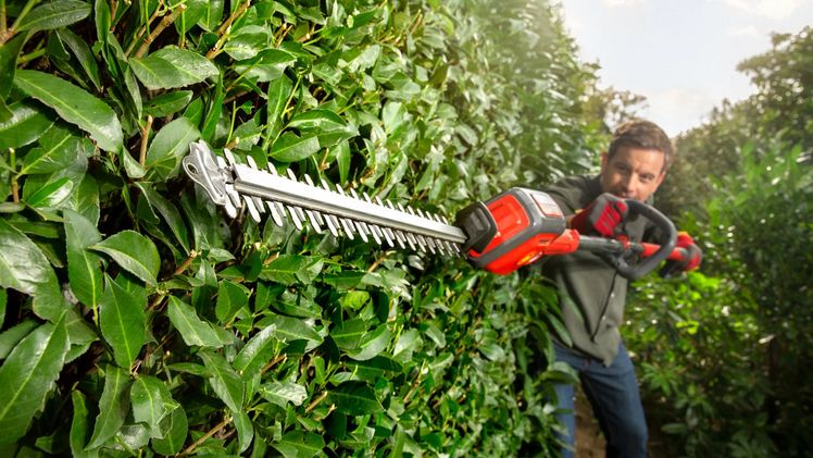 Multitool-Akku-System. Bild: Wolf-Garten.