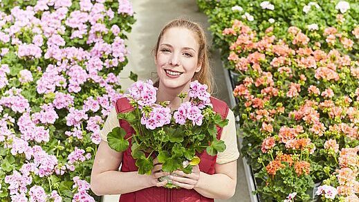 Die riesige Vielfalt regional in Bayern produzierter Blumen und Pflanzen kann man beim „Tag der offenen Gärtnerei“ erleben - und eine Menge Wissenswertes rund um den eigenen Garten oder Balkon erfahren. Foto: GMH.