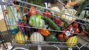 Das ifo Institut sieht mehr Lieferengpässe im Handel mit Lebensmitteln. Bild: GABOT.