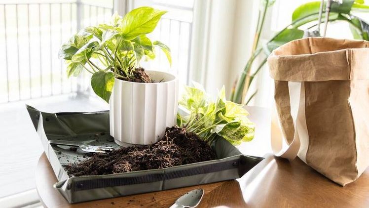 Die faltbare Pflanzmatte mit praktischen Tragegriffen sorgt für komfortables Arbeiten, einfaches Transportieren und platzsparende Aufbewahrung. Bild: Fiskars. 