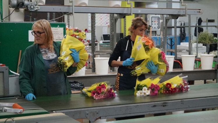 Im Mai sind in Deutschland 7,3 Millionen Beschäftigte in Kurzarbeit gewesen. Bild: GABOT.