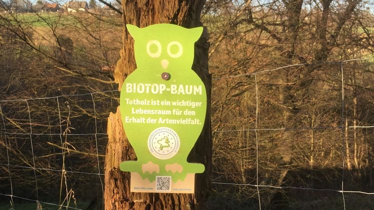 Kennzeichnung wertvoller Biotop-Bäume. Bild: Frank Rheinwald.