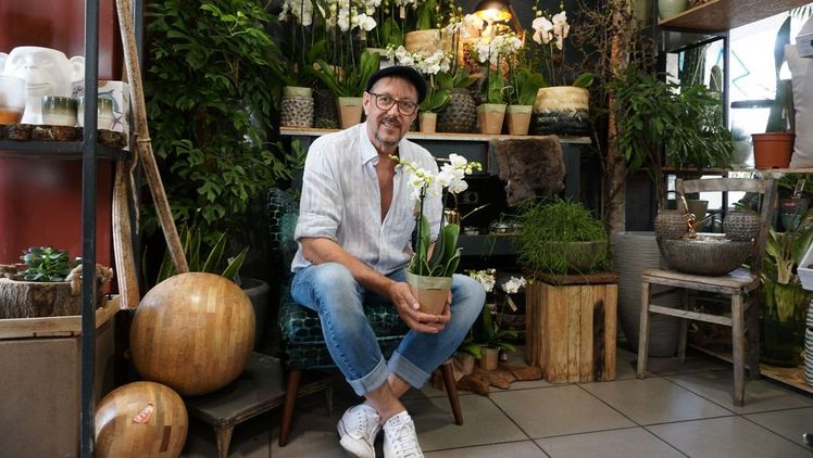 Decorum ist ein Züchterverband mit über 50 Mitgliedern. Gemeinsam vermarkten diese Züchter mehr als 4000 Produkte unter den Markennamen Decorum und Feel Green. Bild: Decorum. 