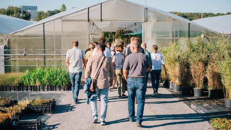 Rundgang über das Betriebsgelände der Staudengärtnerei Moll. Bild: GaLaBau Jeutter.
