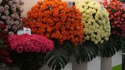 Die World Floral Expo soll jetzt erst im Jahr 2021 stattfinden. Bild: GABOT.