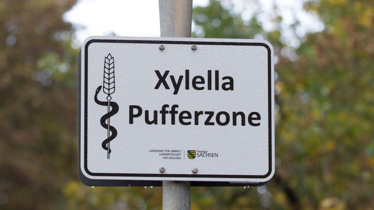 Gartenbau-Versicherung bietet ab sofort Deckung gegen Quarantäneorganismen. Bild: Gartenbau-Versicherung.