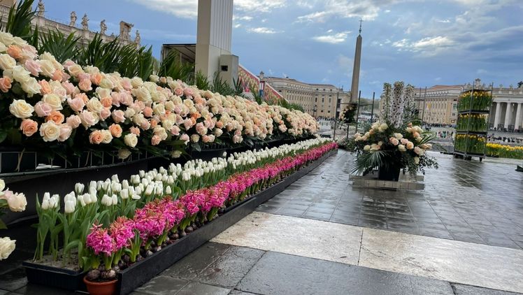 Niederländische Blumen zu Ostern auf dem Petersplatz in Rom. Bild: Floral Projects.