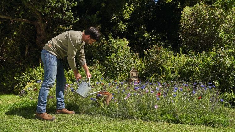 Heimische Blumen machen den Garten bunt und abwechslungsreich und bieten zudem Nahrung für Bienen, Hummeln & Co. Bild: STIHL.