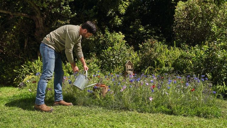 Deutsche Gartenbesitzer fördern unter anderem mit Blüh-Streifen oder -Inseln neben bzw. in der Rasenfläche (59%) und mit dem Aufstellen eines Insektenhotels (50%) gezielt die biologische im heimischen Garten. Bild: STIHL.