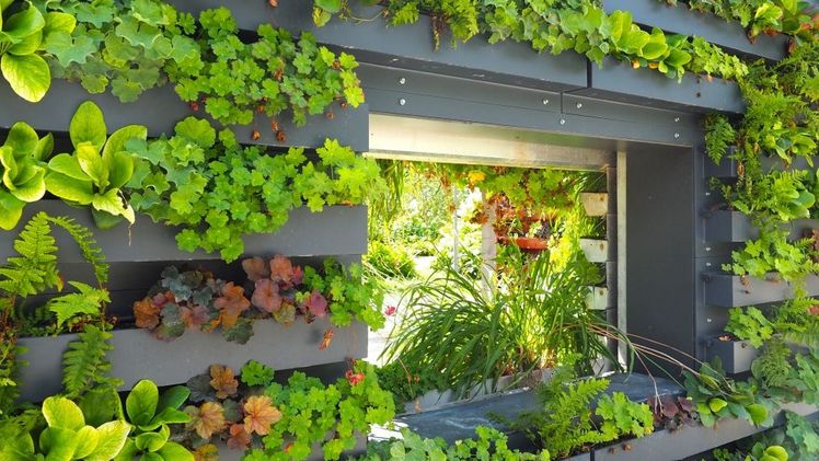 Die "Wachsende Wand". Bild: © „Natur im Garten" / C. Pürer.