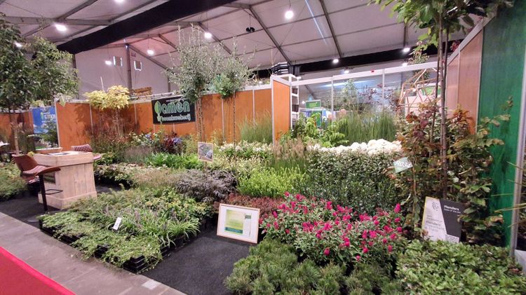 Boomkwekerij Damen gewinnt den Jac.-Lodders-Preis. Bild: GABOT.