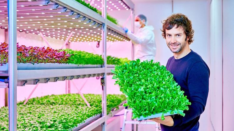 Luca Travaglini, Mitbegründer und Co-CEO von Planet Farms. Bild: Signify. 