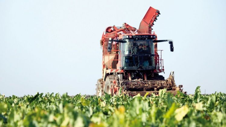 Der Verlust von mit Neonikotinoiden gebeiztem Saatgut hat negative Auswirkungen auf die europäischen Landwirte. Bild: Bayer AG.