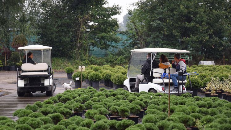 20 Jahre Oldenburger Vielfalt. Bild. Flauas.