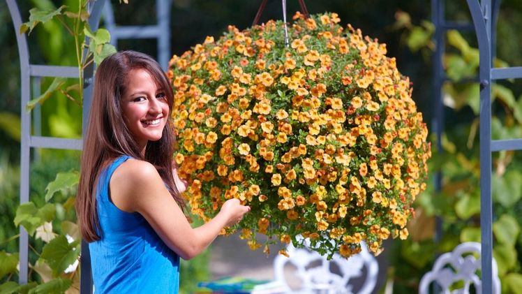 Echter Hingucker: Eine blühende Blumenampel für Balkon und Terrasse eignet sich gut als nachhaltiges Geschenk zum Muttertag. Dauerblüher wie Petunien sehen bei richtiger Pflege bis spät in den Herbst schön aus. Bild: GMH/BVE.