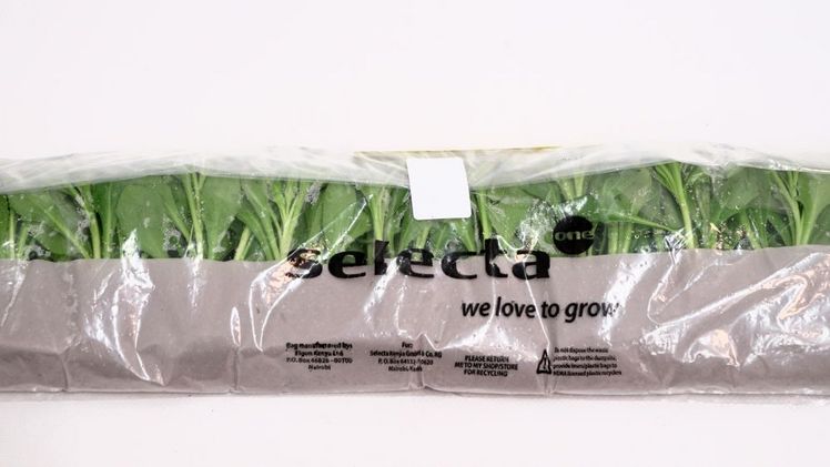 RCS 2.0 bietet eine einmalige Kombination aus substratfreier Bewurzelung in biologisch abbaubaren Papiertaschen und kompakter Größe. Bild: Selecta one.