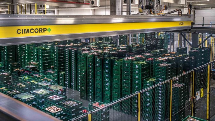 Automatisierte Kommissionierung für das Sortiment Obst und Gemüse. Bild: EDEKA Minden-Hannover/Kenny Riedel.