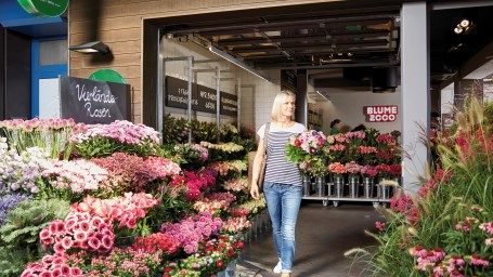 Blume 2000 Blumen-Handelsgesellschaft mbH ist ein deutsches Unternehmen mit Sitz in Norderstedt, das mit Blumen und Zierpflanzen handelt. Bild: Blume 2000.