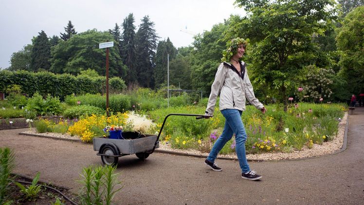 Sommerfest im Botanischen Garten.