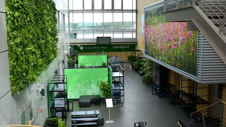 Die Veiling Rhein-Maas freut sich darauf, die schönen Blumen und Pflanzen ihrer Anlieferer in ihrem neugestalteten Foyer zu präsentieren. Bild: Veiling Rhein-Maas.