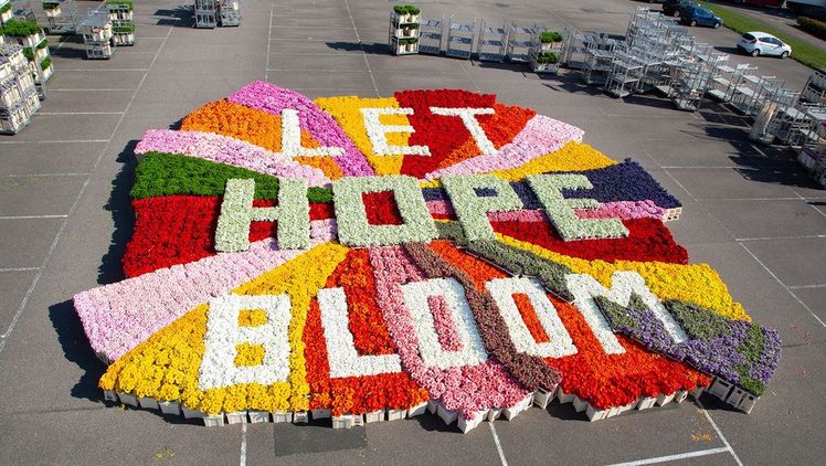 Die Blumenkampagne #lethopebloom war ein voller Erfolg. Bild: Blumenbureau Holland.