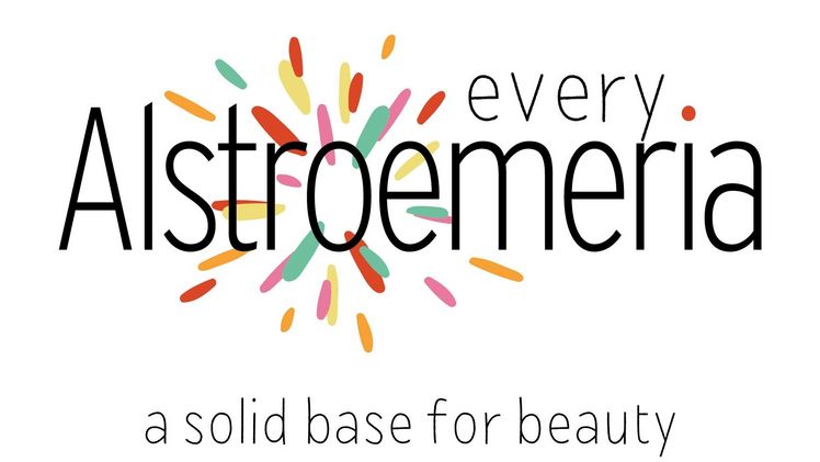 Farbe in den Alltag bringen ist das Bestreben von every.Alstroemeria. Bild: every.Alstroemeria.