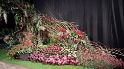 Impressionen von den Genter Floraliën. Bild: GABOT.