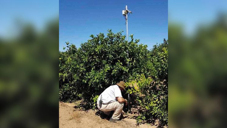 SanLucar ist ein weltweit agierendes Unternehmen, das den Menschen natürliche Lebensfreude und Gesundheit bringen möchte und das auf eine Art und Weise, auf das es stolz sein kann. Bild: SanLucar.