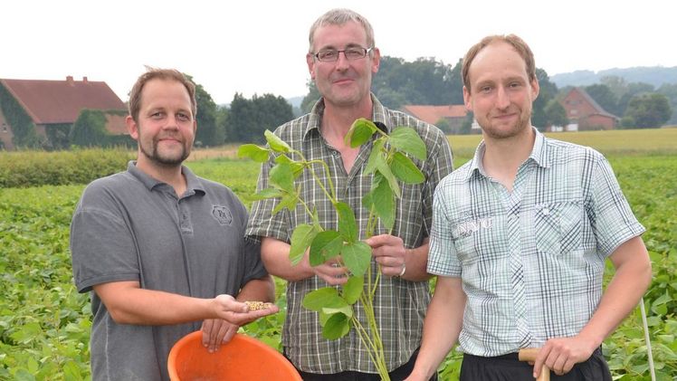 Kammer-Berater Christian Kreikenbohm (links), Jürgen Unsleber (Mitte) vom Sojanetzwerk sowie Landwirt Christian Holtmeyer informierten auf dem Soja-Feldtag in Belm über den Anbau der Wärme liebenden Pflanze. Tenor: Der Bedarf an heimisch erzeugtem Soja wird zunehmen, steigende Preise machen den Anbau zunehmend interessant. Bild: Walter Hollweg, LWK Niedersachsen.
