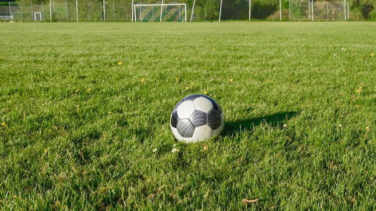 Durch die hohe Nutzungsfrequenz hat Sportrasen in der Regel wesentlich weniger Zeit für die Regeneration als normaler Gartenrasen. Bild: WLSB.