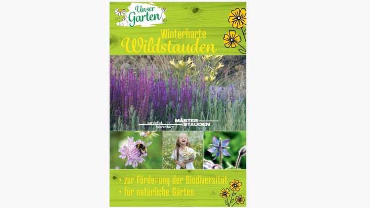 Wildstauden des Frühjahrs und Sommers sind eine wichtige Nahrungsgrundlage unserer heimischen Bienen und Schmetterlinge. Bild: Master Stauden.