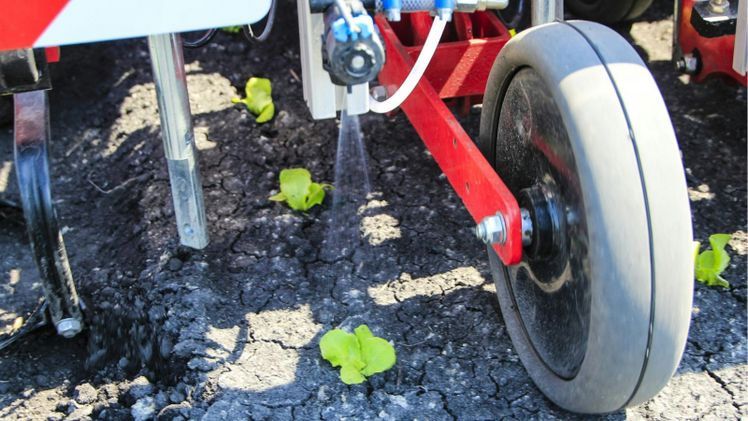 Spotspraying im Gemüsebau. Bild: © René Total, Agroscope.