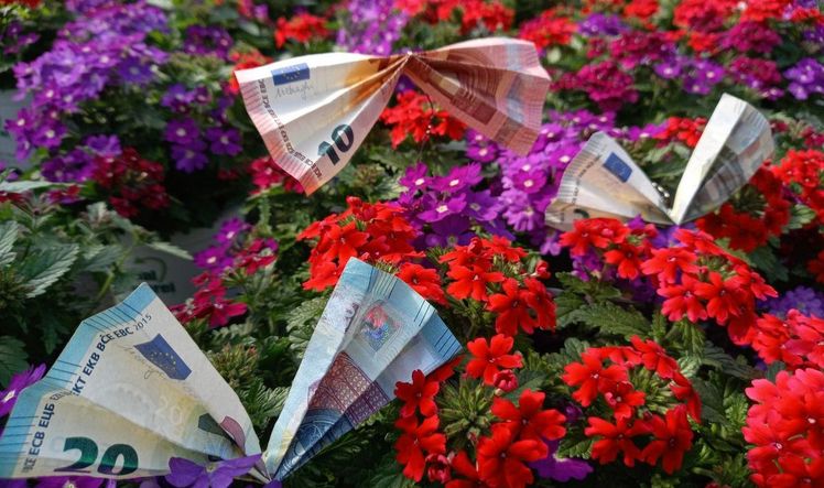 Schönheit hat einen Preis! Preispolitik im gärtnerischen Einzelhandel wird für die Branche zur Herausforderung. Bild: Claudia Taeger.