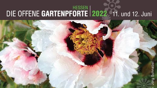 Bei der Aktion „Offene Gartenpforte“ am 11. und 12. Juni 2022 öffnen viele Gartenbesitzer in ganz Hessen wieder ihre Pforten für die interessierte Öffentlichkeit. Bild: Offene Gartenpforte Hessen.