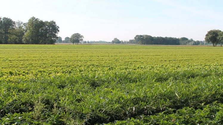 Jetzt entschlossen handeln, um die Landwirtschaft zu schützen. Bild: GABOT.