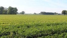 Mehr Eigenverantwortung für Betriebe: Bundeskabinett bringt nationale GAP-Vereinfachungen auf den Weg. Bild: GABOT.