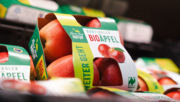 Discounter macht das jetzt mit besonderer Aktion möglich. Bild: ALDI SÜD.
