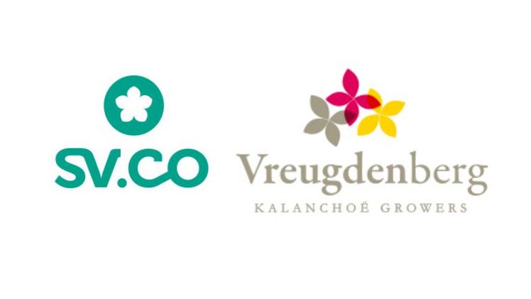 SV.CO und Vreugdenberg gehen zusammen.