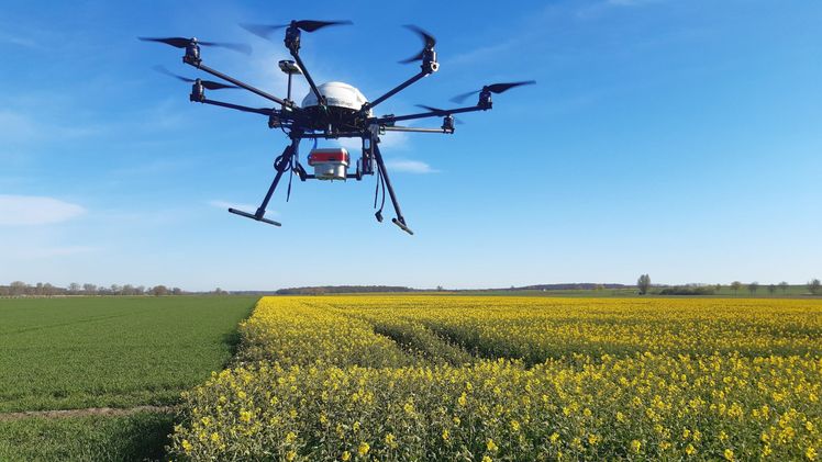 Drohnen könnten im Pflanzenschutz unterstützen, Pflanzenschutzmittel zielgerichtet auszubringen. Bild: Feistkorn, JKI.