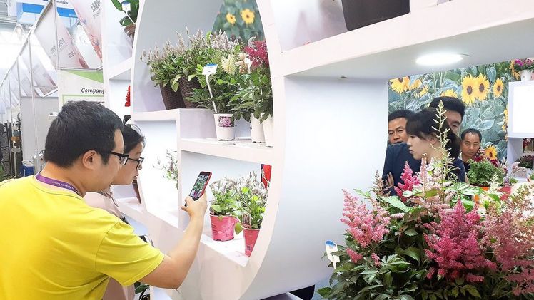 Hortiflorexpo IPM Beijing 2018: Deutliches Flächen-, Aussteller- und Besucherplus.
