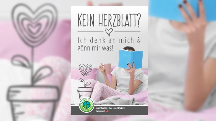 Mittlerweile 1o exklusive Marken & 15 "Konzept Komplett" Angebote.