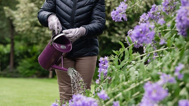 Gießkannen von Kent & Stowe. Bild: Kent & Stowe.