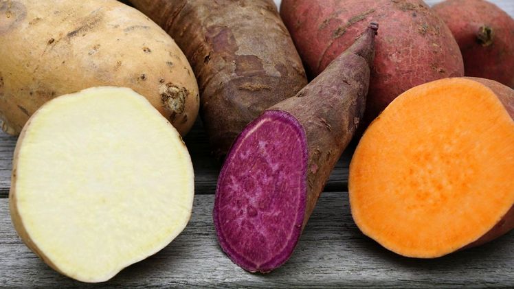 Außen beige, orange, rot oder violett gefärbt mit weißem, gelbem, orangefarbenen oder violettem Fleisch – Süßkartoffeln gibt es in großer Vielfalt. Bild: BLE.