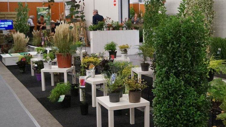 Green Grand Prix auf der GrootGroenPlus. Bild: GABOT. 