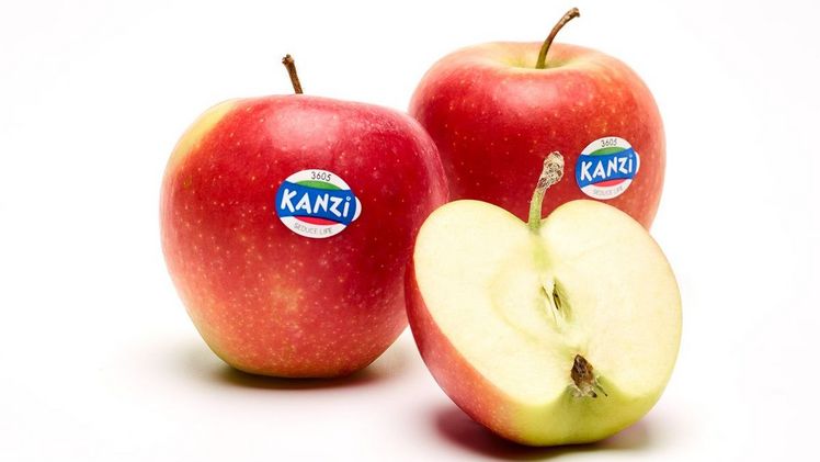 Die unter dem Markennamen Kanzi® verkaufte Apfelsorte ist „Nicoter“ – eine natürliche Kreuzung aus Gala und Braeburn, mit definierten Qualitätsrichtlinien. Bild: Kanzi.